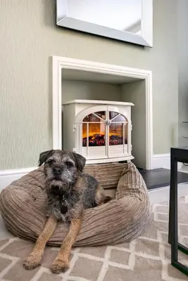 a dog sitting in a dog bed in front of a fireplace at Pippin Cottage in Keswick