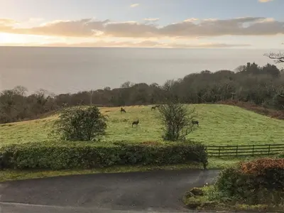 two horses grazing in a field next to a fence at Woodlea Cottage 1 in Dippin