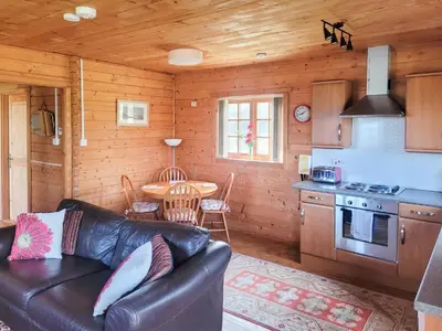 a living room with a leather couch in a cabin at Forest Lodge in Dumfries