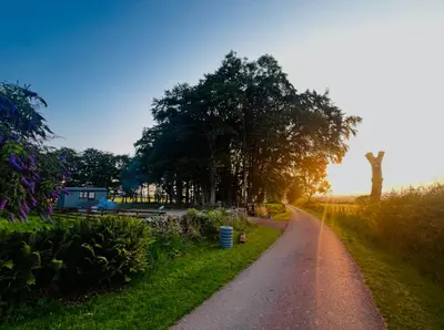 a road with trees on the side of a field at Herdie Hideaway - Shepherds Hut in Wigton