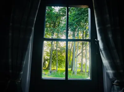 a window with a view of a field of trees at Herdie Hideaway - Shepherds Hut in Wigton