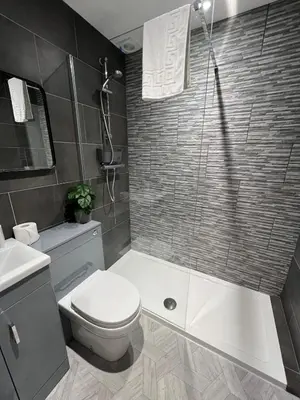 a bathroom with a toilet and a sink and a shower at The Globe Apartments and Bedrooms in Cockermouth