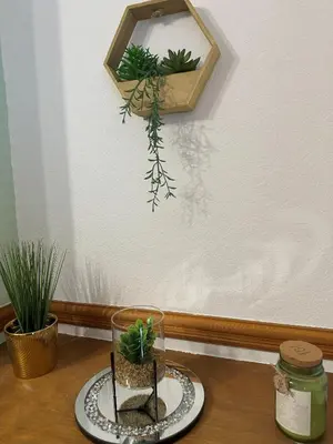a glass vase with plants in it on a table at Bolton Terrace - 2 Bedrooms - Sleeps 4 in Workington