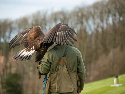 a person with a bird on his back with his wings spread at Royal Dornoch - Ukc6918 in Turnberry