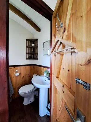 a bathroom with a toilet and a sink at Puddleduck Hut Armathwaite with hot tub and dog agility course, perfect for a romantic break in Armathwaite