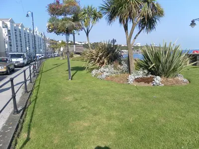 a park with palm trees on the side of a street at isleofmanholidayapartment in Douglas