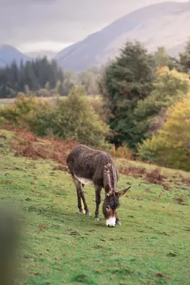 Gallery image of Moffat by Wigwam Holidays in Moffat