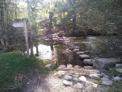 a stream with rocks and a sign in a forest at 1 Bed in Eskdale 95105 in Eskdale