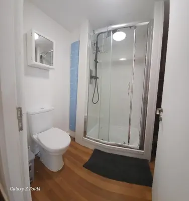 a bathroom with a toilet and a shower in it at Flat 2 Douglas Head Road in Douglas