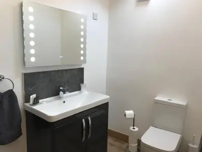 a bathroom with a white sink and a toilet at Crookabeck B&B in Patterdale