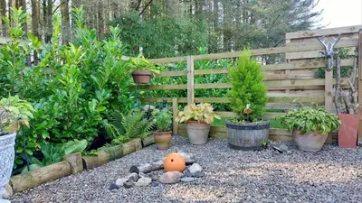 a garden with plants and an egg on the ground at Antler Lodge - Meadows Retreat Lodge Park in Plumbland