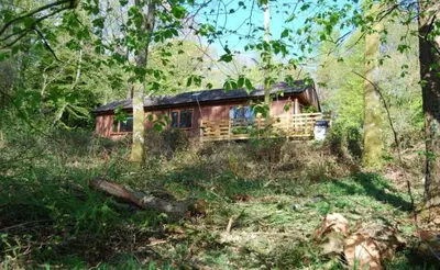 a house in the middle of a forest at The Shack, Cally Avenue, Gatehouse of Fleet, Dumfries and Galloway, DG7 2 DH in Gatehouse of Fleet
