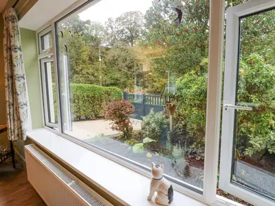a cat sitting on a window sill looking out at a garden at Esk Brae in Langholm