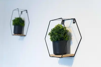 two potted plants are hanging on a wall at CS House in Carlisle