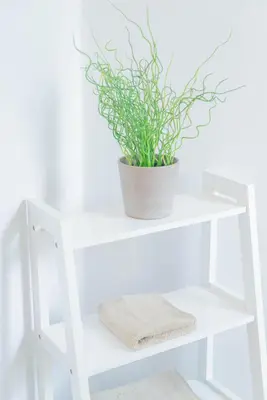 a white shelf with a potted plant on it at CS House in Carlisle