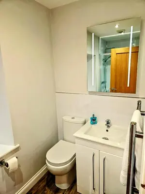 a white bathroom with a toilet and a sink at Family and dog friendly stunning barn conversion in Tarbolton