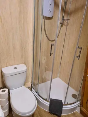 a bathroom with a toilet and a shower at The Dairy - Patterdale Hall in Penrith