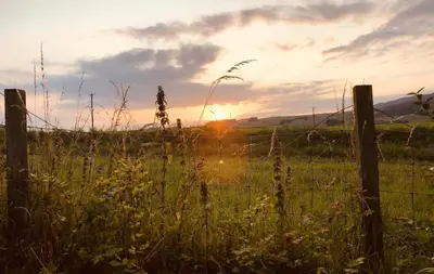 a fence in a field with the sunset in the background at Edenville Cottage in Gatehouse of Fleet