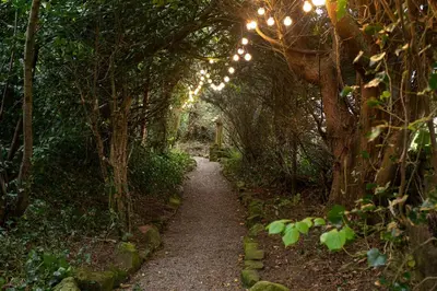 a path through an archway with lights and trees at Scenery Hill Hideaways The Coach House Charming Retreat with Jacuzzi and BBQ Hut Near the Lake District in Workington