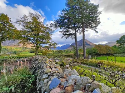 a stone wall in a field with two trees at 3 Bed in Loweswater oc-w30224 in Loweswater