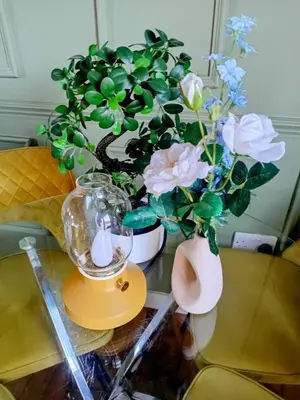 a vase with flowers on a glass table at The Bunker, Golf Cottage in Prestwick