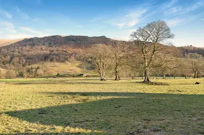 a field with trees and a mountain in the background at Rowan Studio Cottage in Grasmere
