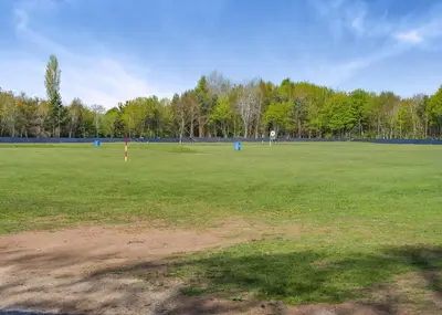 a large green field with trees in the background at Eden Lodge Retreat in Crosby