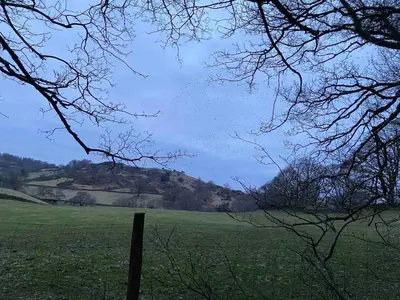 a field of grass with a fence and trees at Cosy home in centre of Lake District National Park in Chapel Stile