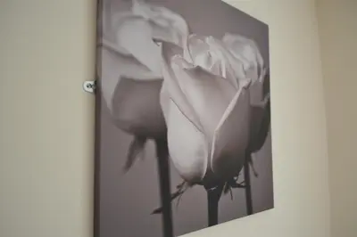 a black and white picture of three flowers at Sea Breeze Guest House in Douglas