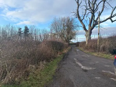 a road with a tree on the side of it at Mains of Greenlaw Cottage in Castle Douglas