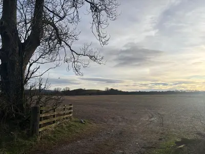 a field with a fence and a tree in the foreground at Mains of Greenlaw Cottage in Castle Douglas