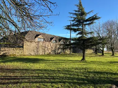 a tree in a field in front of a building at The Barn in Ellonby