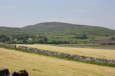 a large field with a stone wall in the distance at Meadow Cottage in Girthon