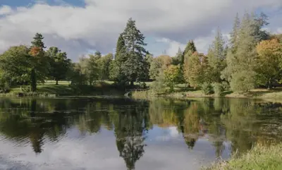 a view of a river with trees in the background at 5 lochview in Beattock