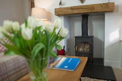 a vase of flowers on a table with a wood stove at Threaby Cottage in Girthon