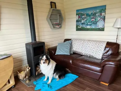 a dog sitting on a blanket in a room with a stove at Rustic Secluded Hidden Gem At Rockhall in Dumfries