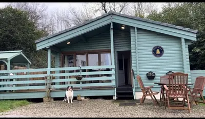 a dog standing in front of a blue tiny house at Rustic Secluded Hidden Gem At Rockhall in Dumfries