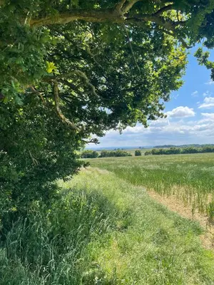 a dirt road through a field with trees at Quaint Oxfordshire cottage on a peaceful farm in Moffat