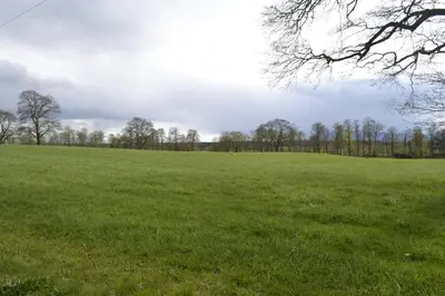 a field of green grass with trees in the background at The Tranquil Orchard in Dumfries