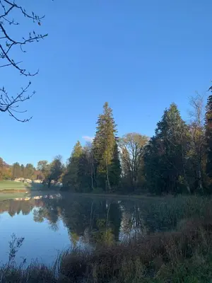 a view of a lake with trees in the background at The Woodhouse Cabin 8 in Moffat