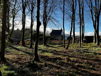 a house in the middle of a field with trees at Cross Cottage in Gatehouse of Fleet
