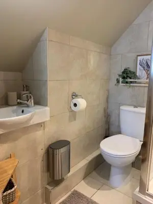 a small bathroom with a toilet and a sink at The Gower Cottages in Moffat