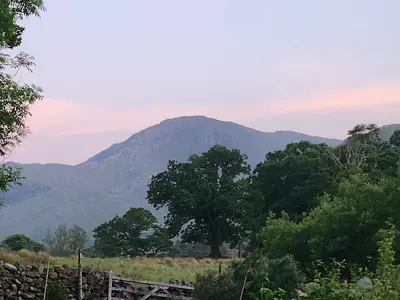 a mountain in the distance with trees and a fence at Blea Tarn Farmhouse B&B in Ambleside
