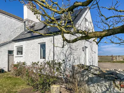 a white church with a tree in front of it at The Cheese Loft in Drummore