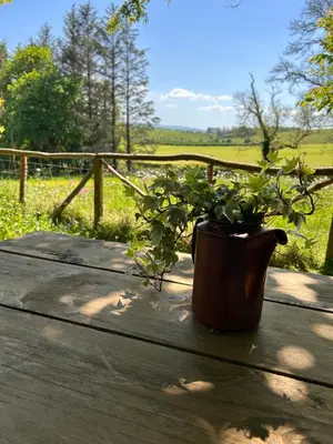 a potted plant sitting on top of a wooden table at Bracken Barns Glamping & Massage in Minishant