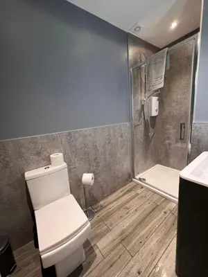 a bathroom with a toilet and a shower at Tigh-Na-Mara Hotel in Sandhead