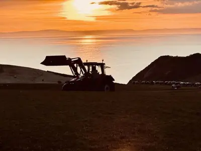a tractor in a field with a sunset in the background at Stunning Sea View - Farm Stay - Kilchoman 9 in Stranraer