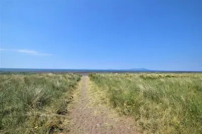 a dirt road through a field of tall grass at 2 Bed in Allonby oc-i30743 in Allonby