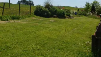 a yard with a field of green grass at The Old Dairy in Lochfoot