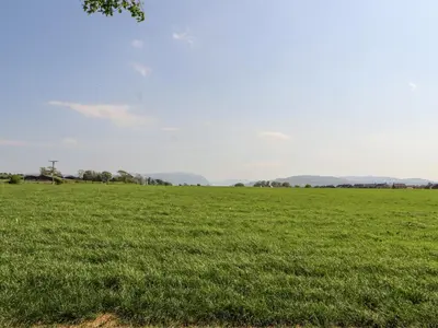 a field of green grass with a tree in the foreground at No 29 Wyndham Hall in Cockermouth